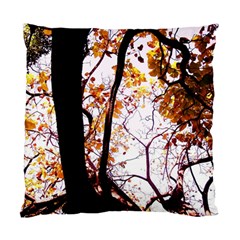 Highland Park 8 Standard Cushion Case (one Side) by bestdesignintheworld