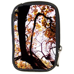 Highland Park 8 Compact Camera Cases by bestdesignintheworld