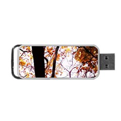 Highland Park 8 Portable Usb Flash (one Side) by bestdesignintheworld