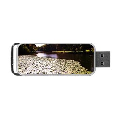 Highland Park 6 Portable Usb Flash (two Sides) by bestdesignintheworld