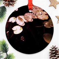 Highland Park 5 Ornament (round) by bestdesignintheworld