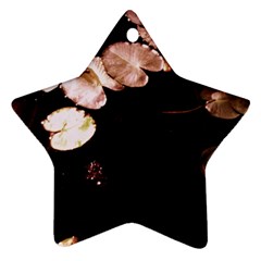 Highland Park 5 Star Ornament (two Sides) by bestdesignintheworld