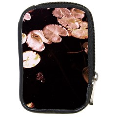 Highland Park 5 Compact Camera Cases by bestdesignintheworld