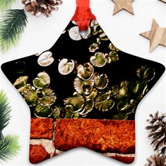 Highland Park 4 Star Ornament (two Sides) by bestdesignintheworld