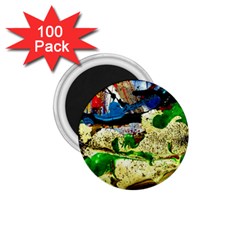 Catalina Island Not So Far 4 1 75  Magnets (100 Pack)  by bestdesignintheworld