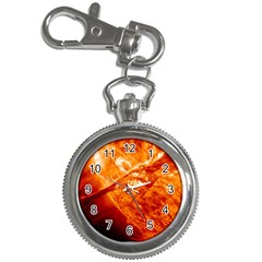 Spectacular Solar Prominence Key Chain Watches by Sapixe