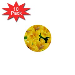 Springs First Arrivals 1  Mini Buttons (10 Pack) 