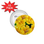 Springs First Arrivals 1.75  Buttons (10 pack) Front