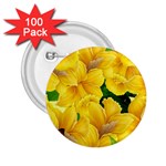 Springs First Arrivals 2.25  Buttons (100 pack)  Front