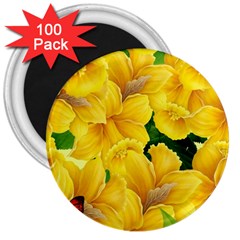 Springs First Arrivals 3  Magnets (100 Pack) by Sapixe