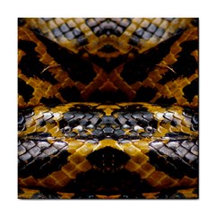 Textures Snake Skin Patterns Tile Coasters