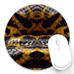 Textures Snake Skin Patterns Round Mousepads