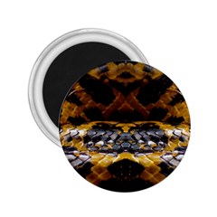 Textures Snake Skin Patterns 2.25  Magnets