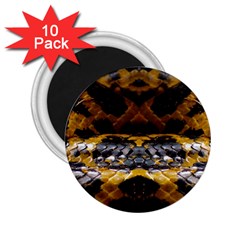 Textures Snake Skin Patterns 2.25  Magnets (10 pack) 