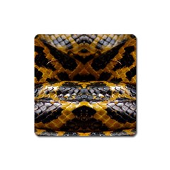 Textures Snake Skin Patterns Square Magnet