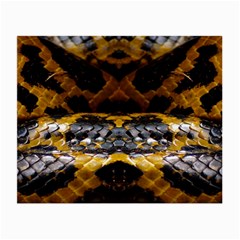 Textures Snake Skin Patterns Small Glasses Cloth