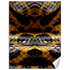 Textures Snake Skin Patterns Canvas 12  x 16  