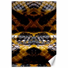 Textures Snake Skin Patterns Canvas 12  x 18  