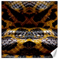 Textures Snake Skin Patterns Canvas 16  x 16  