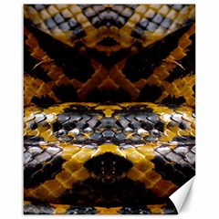 Textures Snake Skin Patterns Canvas 16  x 20  