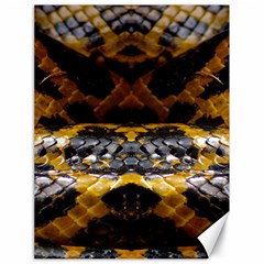 Textures Snake Skin Patterns Canvas 18  x 24  