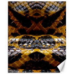 Textures Snake Skin Patterns Canvas 11  x 14  