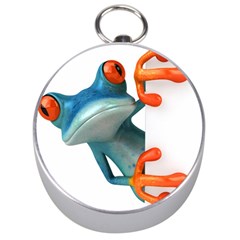 Tree Frog Illustration Silver Compasses by Sapixe