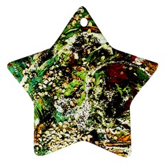 April   Birds Of Paradise 5 Ornament (star) by bestdesignintheworld