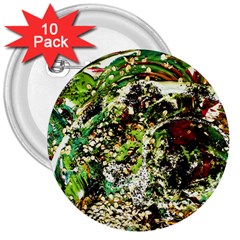 April   Birds Of Paradise 5 3  Buttons (10 Pack)  by bestdesignintheworld