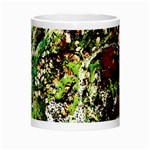 April   Birds Of Paradise 5 Morph Mugs Center