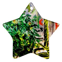 Dscf2188 -- Plant In The Room Ornament (star) by bestdesignintheworld