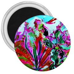 Dscf1472   Copy - Blooming Desert With Red Cactuses 3  Magnets by bestdesignintheworld