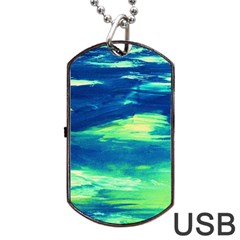 Dscf3194-limits In The Sky Dog Tag Usb Flash (one Side) by bestdesignintheworld