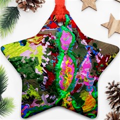 Dscf1239 - Desert In A Bloom Star Ornament (two Sides) by bestdesignintheworld