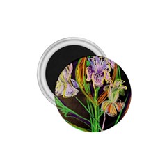 Dscf1378 - Irises On The Black 1 75  Magnets by bestdesignintheworld