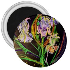 Dscf1378 - Irises On The Black 3  Magnets by bestdesignintheworld