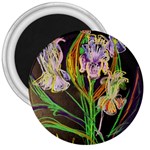 Dscf1378 - irises on the black 3  Magnets Front