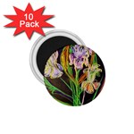 Dscf1378 - irises on the black 1.75  Magnets (10 pack)  Front