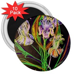 Dscf1378 - Irises On The Black 3  Magnets (10 Pack)  by bestdesignintheworld