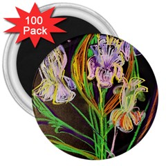 Dscf1378 - Irises On The Black 3  Magnets (100 Pack) by bestdesignintheworld