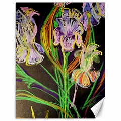 Dscf1378 - Irises On The Black Canvas 18  X 24   by bestdesignintheworld