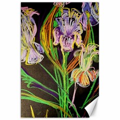 Dscf1378 - Irises On The Black Canvas 20  X 30   by bestdesignintheworld