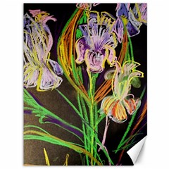 Dscf1378 - Irises On The Black Canvas 36  X 48   by bestdesignintheworld