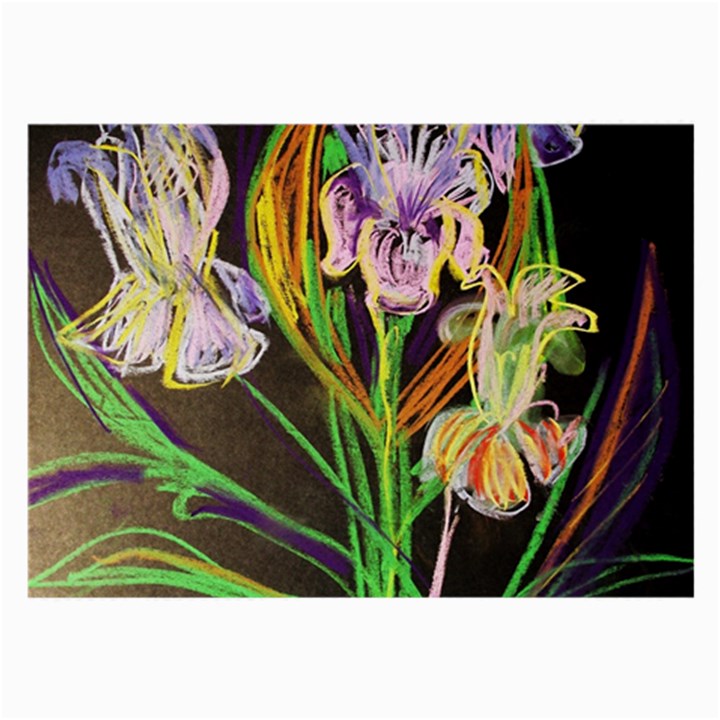 Dscf1378 - irises on the black Large Glasses Cloth (2-Side)