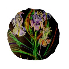 Dscf1378 - Irises On The Black Standard 15  Premium Flano Round Cushions by bestdesignintheworld