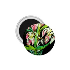 Dscf1389 - Lillies In The Vase 1 75  Magnets by bestdesignintheworld