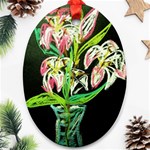 Dscf1389 - lillies in the vase Oval Ornament (Two Sides) Front