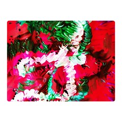 Dscf1703 - Creation Of Japan Double Sided Flano Blanket (mini)  by bestdesignintheworld