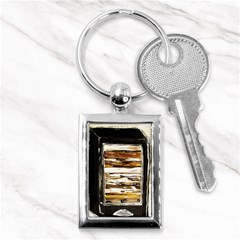 Dscf1952 - Pandora Box Key Chains (rectangle)  by bestdesignintheworld