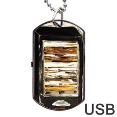 Dscf1952 - Pandora Box Dog Tag Usb Flash (two Sides) by bestdesignintheworld